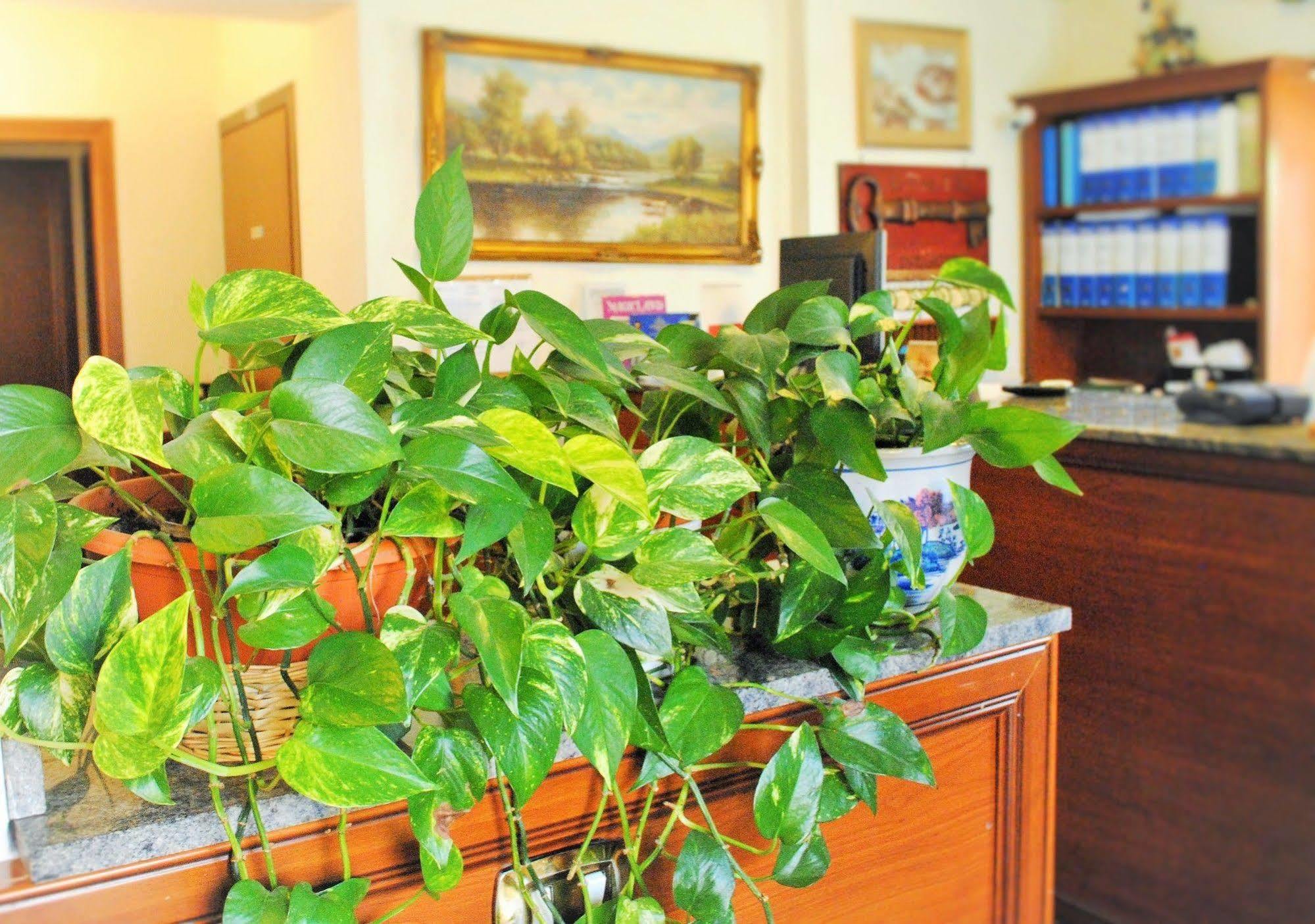 Hotel Octavia Roma